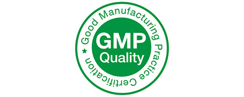 gmp-logo-web